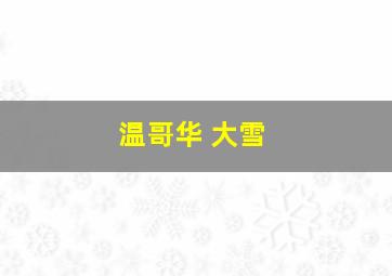 温哥华 大雪